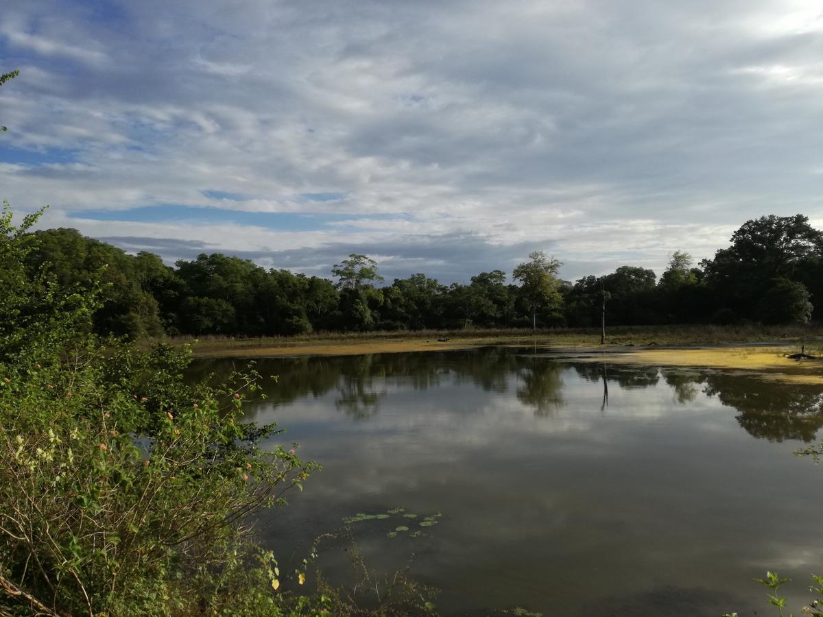 Induwara Safari Resort Удавалаве Экстерьер фото