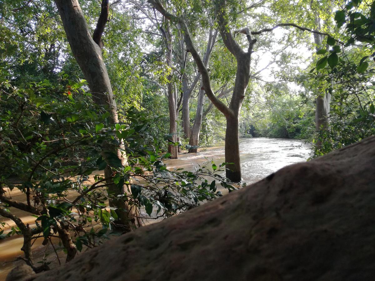 Induwara Safari Resort Удавалаве Экстерьер фото