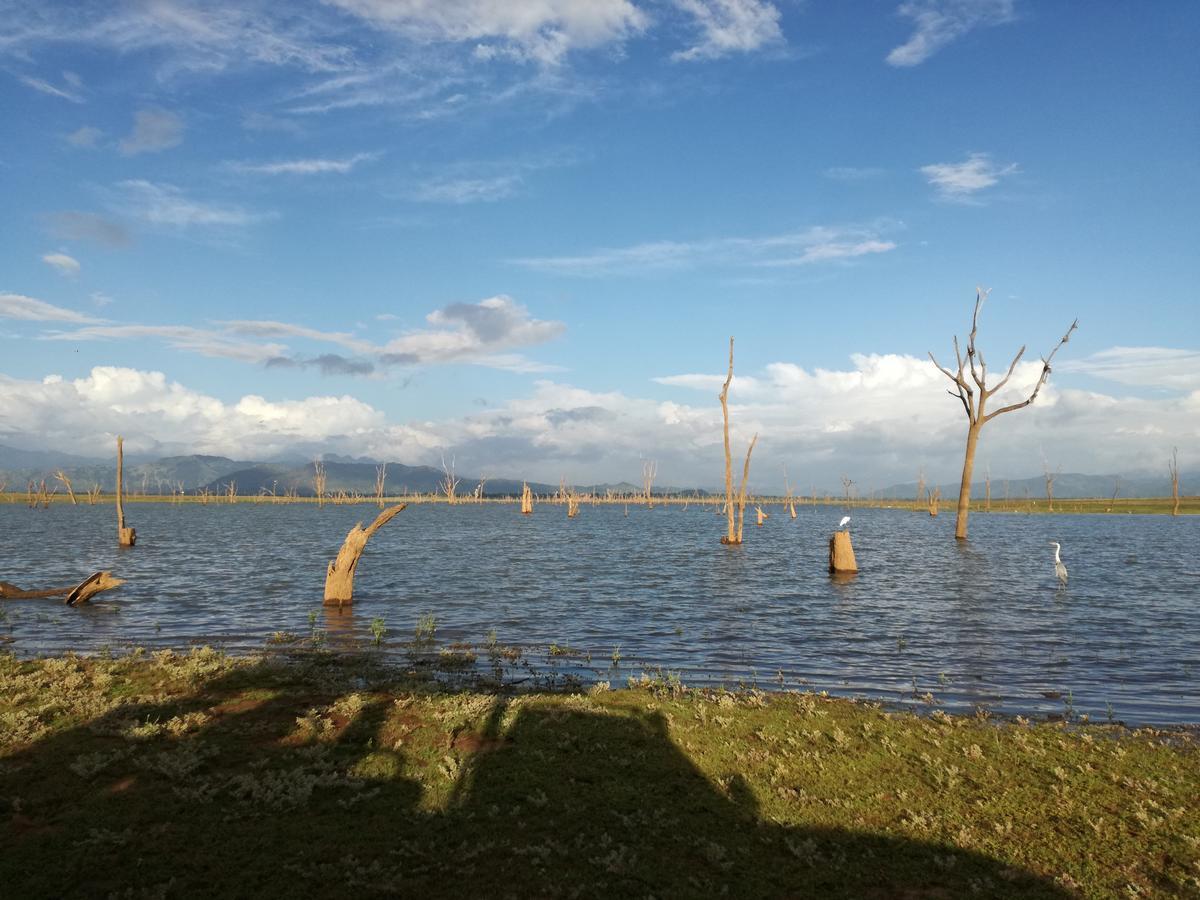 Induwara Safari Resort Удавалаве Экстерьер фото